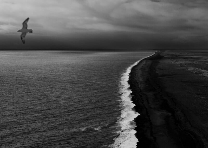 A lone bird flies over a dark, moody ocean coastline with waves breaking against a long, narrow beach.