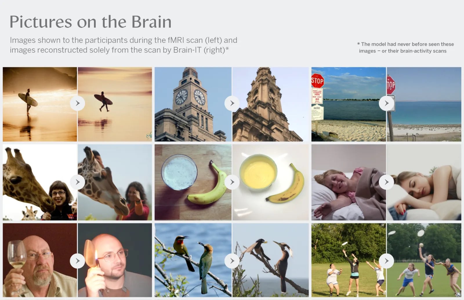 Fastest-Ever 'Mind Reading' AI Model Can Reconstruct Images From Your ...