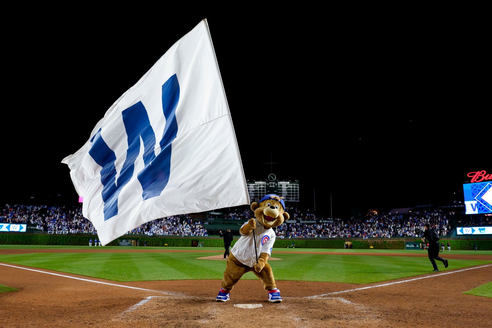 Clark the Cub, the Chicago Cubs mascot, stands on home plate at a baseball stadium holding a large white flag with a blue "W" on it.