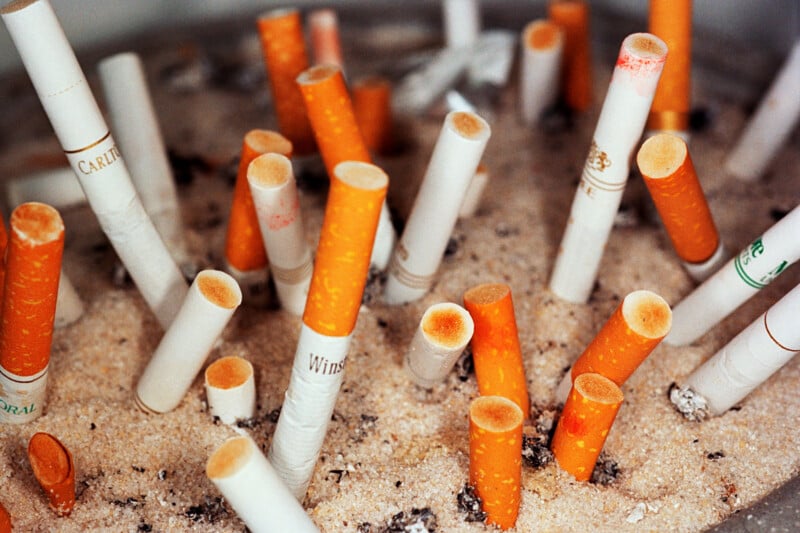A collection of numerous cigarette butts stuck upright in a bed of sand within an ashtray.