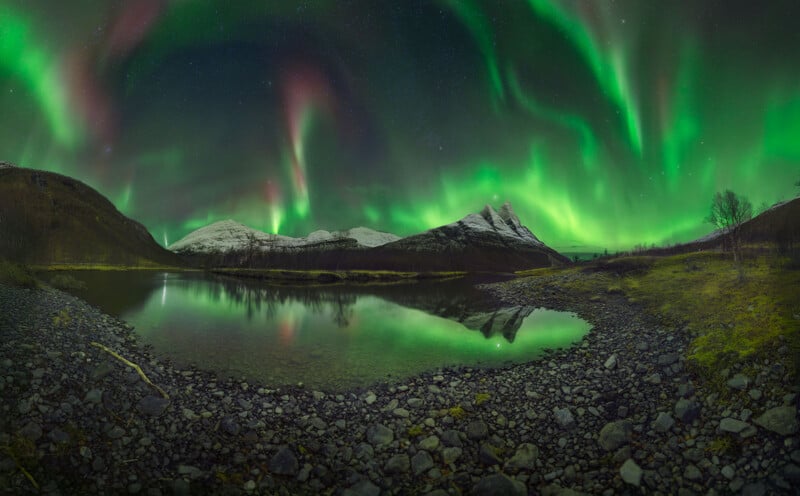 Vibrant green and pink aurora borealis illuminate the night sky above snow-capped mountains reflected in a calm, rocky-shored lake.