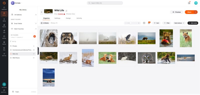 A digital gallery dashboard titled Wild Life displaying seventeen thumbnails of various wildlife, including foxes, bears, and owls.