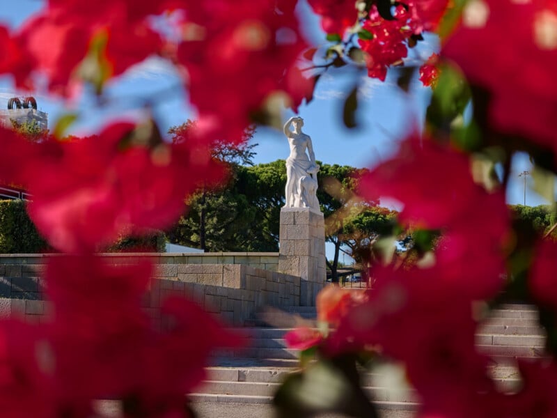 A white stone statue of a woman standing with a dog is framed by vibrant pink bougainvillea flowers in the foreground, set against a backdrop of stone steps and trees.