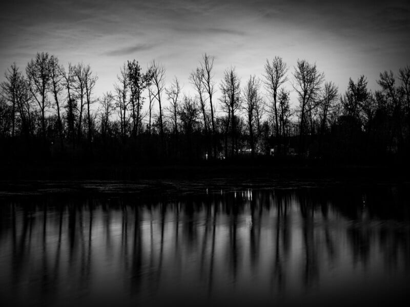 A black and white landscape shows a row of bare trees silhouetted against a twilight sky, reflected in the calm water below.