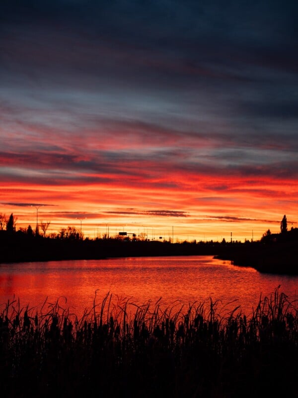 A vibrant orange and red sunset reflects off a calm body of water, with silhouetted reeds in the foreground and a dark treeline in the distance.
