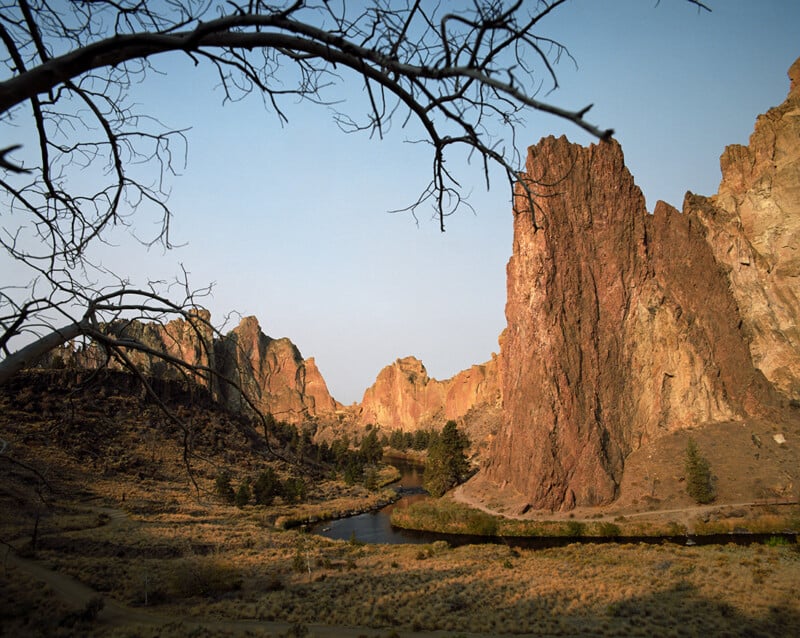 A winding river flows through a canyon with towering, rugged rock formations under a clear sky, framed by bare tree branches in the foreground.