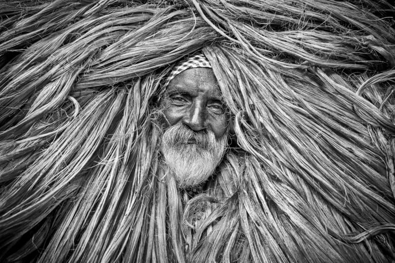 An elderly man with a white beard and a patterned head covering is framed by a dense, surrounding mass of long, fibrous stalks.