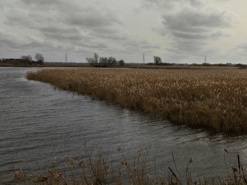 A body of water flows past a large field of dry, brown reeds under a cloudy, overcast sky with distant power lines.