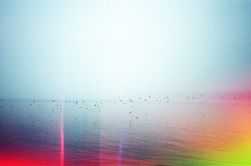 A flock of birds flies over a calm, hazy body of water, overlaid with colorful light leaks and film grain.