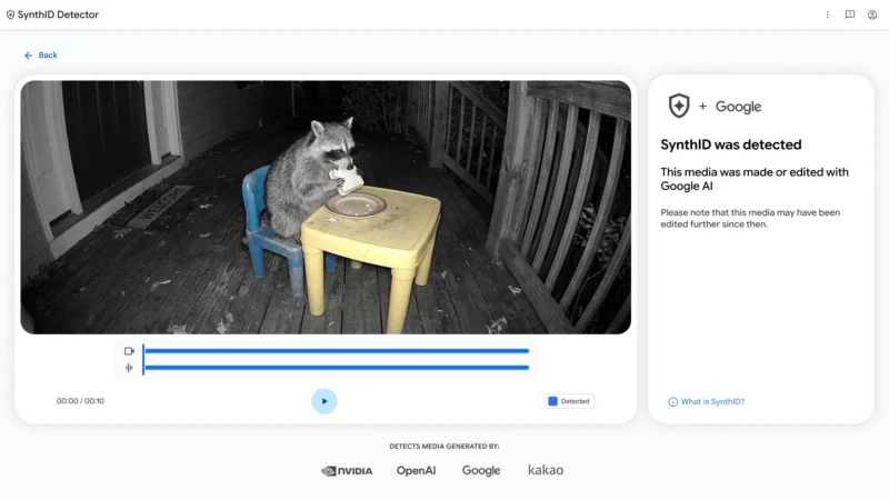A SynthID Detector interface displays a black-and-white video of a raccoon sitting at a small table eating a sandwich, with a notification stating that SynthID was detected, indicating the media was made or edited with Google AI.