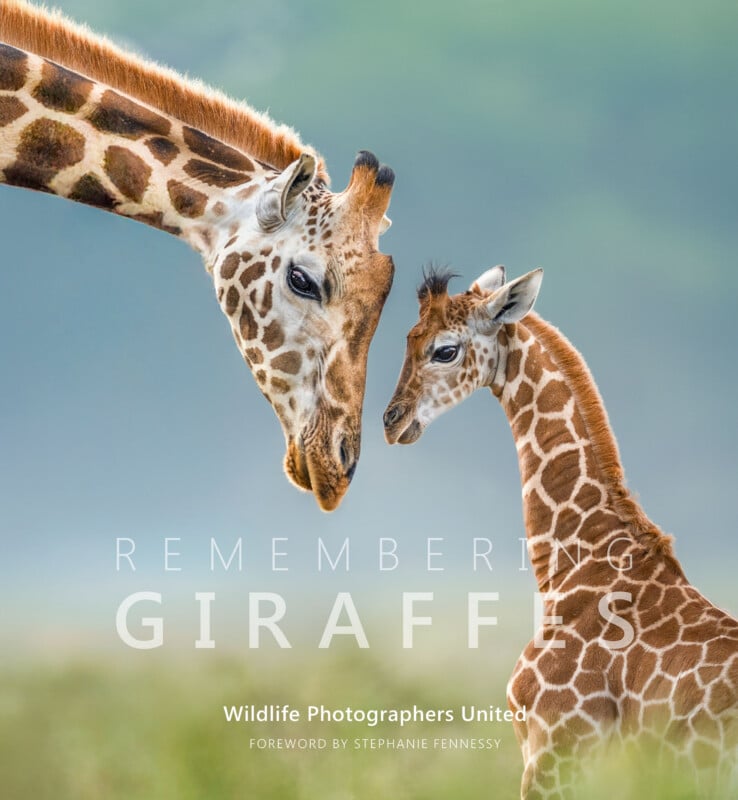 An adult giraffe and its calf face each other in a close-up, with text overlay reading "Remembering Giraffes" and "Wildlife Photographers United.