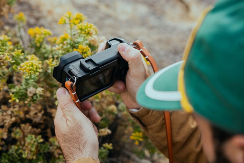 A person wearing a green and yellow cap holds a black camera with a tan leather strap while photographing yellow flowers.
