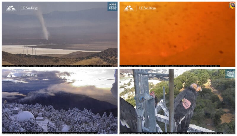 A four-panel grid showing a dust devil in a valley, an orange-tinted view of a fire, a snowy mountain observatory, and two condors perched on a metal structure.