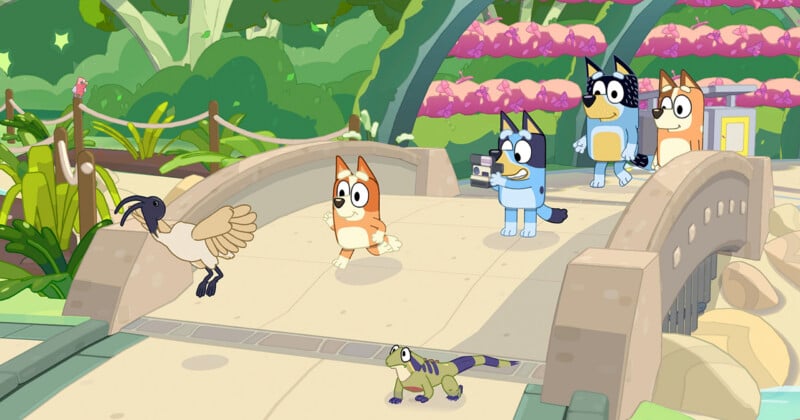Bluey takes a photo of Bingo running on a bridge near an ibis and a lizard, while Bandit and Chilli watch from behind.