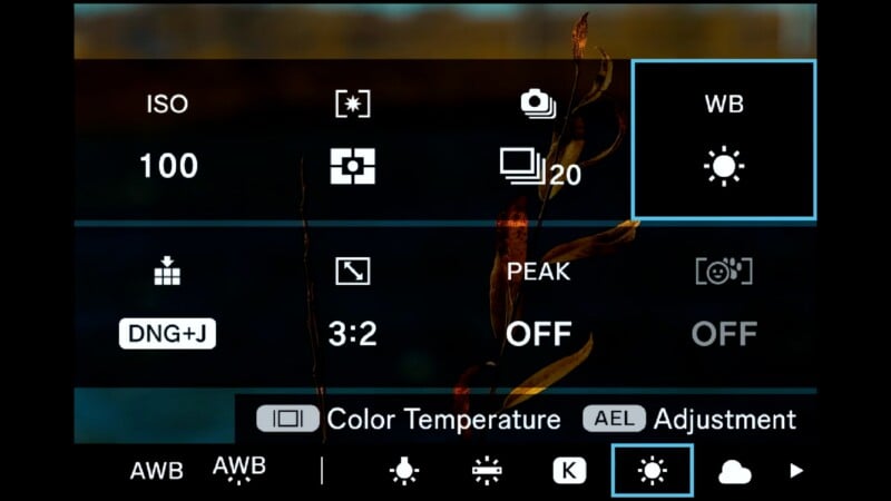 A digital camera settings menu overlay showing ISO 100, a burst mode of 20, and the White Balance (WB) set to daylight.
