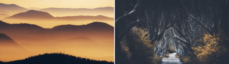 A split-screen image showing a misty, golden mountain landscape on the left and a dark, tree-lined road on the right.