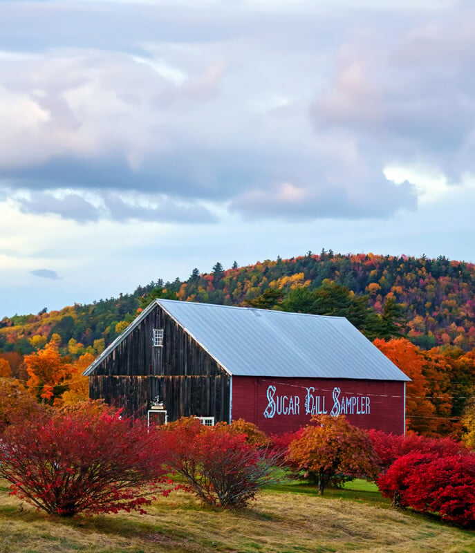 A red and black barn with the words "Sugar Hill Sampler" painted on the side sits in a field surrounded by vibrant autumn foliage.
