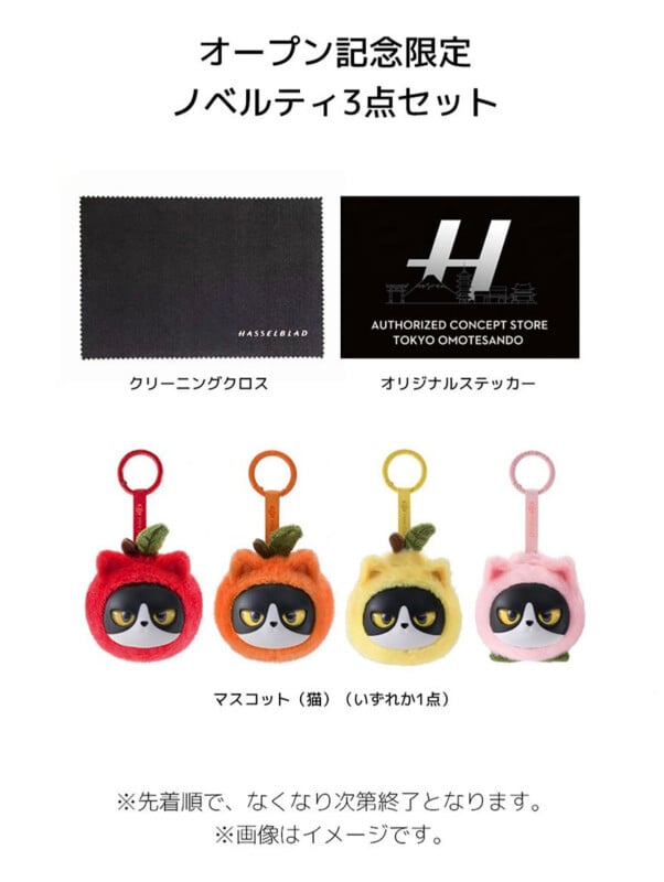 A promotional graphic for a store opening featuring a three-piece novelty set: a Hasselblad cleaning cloth, an authorized concept store sticker, and one of four fruit-themed cat mascots.