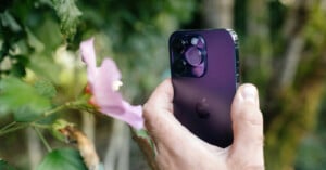 A person's hand holds a purple smartphone toward a light pink flower in a garden.