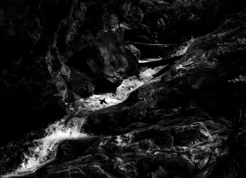 A small bird flies low over a rushing mountain stream flowing between dark, jagged rocks.