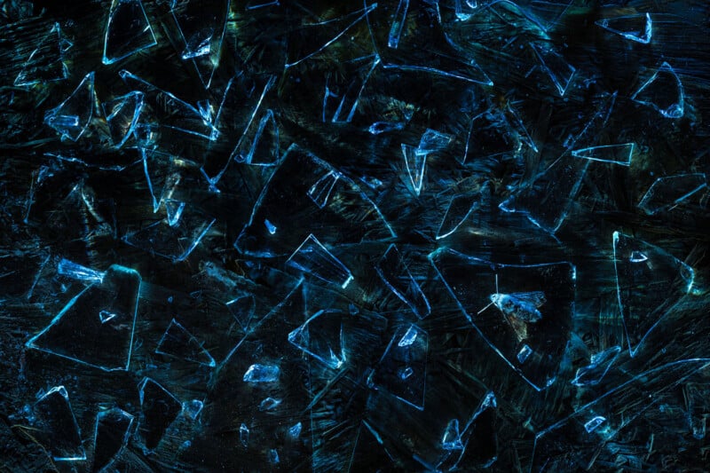 A moth rests on a dark, textured surface covered in scattered, glowing blue shards of broken glass.