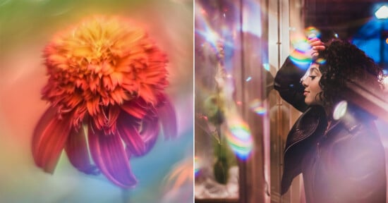 A split-screen image showing a vibrant, soft-focus orange flower on the left and a woman with curly hair illuminated by rainbow light flares on the right.