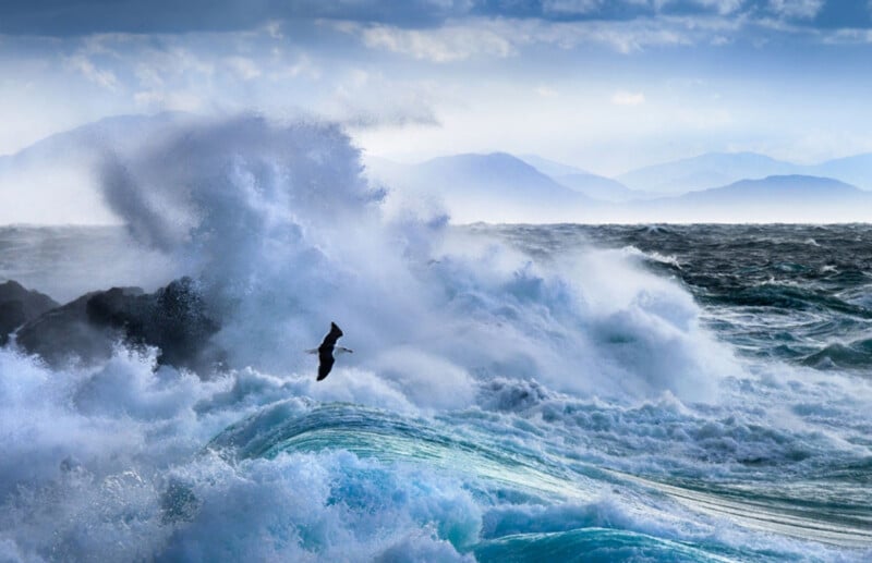 A bird flies over turbulent ocean waves crashing against rocks, with distant mountains visible under a cloudy sky.