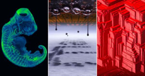 A triptych showing a glowing green zebrafish embryo, a digital rendering of dark droplets falling onto a grid, and a red geometric crystalline structure.