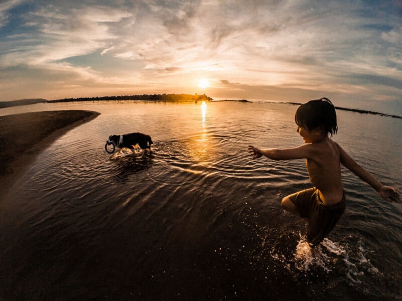 A child runs through shallow water toward a dog carrying a blue ring toy at sunset.