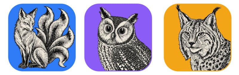 Three square icons with rounded corners featuring black and white ink-style drawings of a nine-tailed fox, an owl, and a lynx.