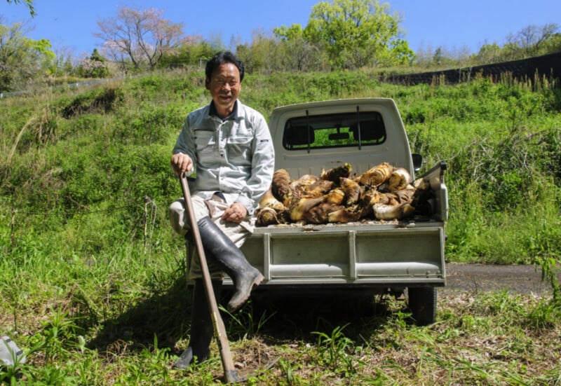 A smiling man in work clothes and rubber boots sits on the tailgate of a small truck filled with harvested bamboo shoots, holding a shovel.