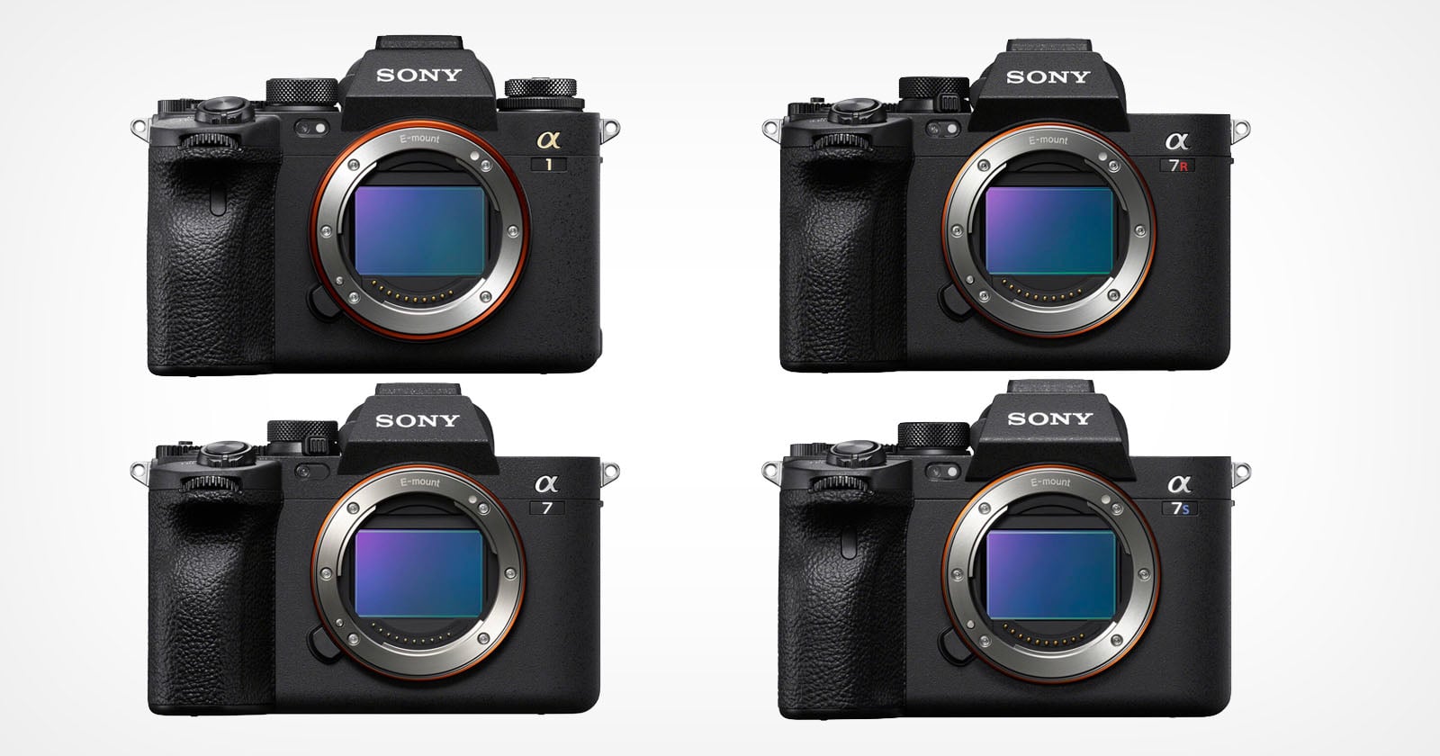 Four Sony Alpha mirrorless cameras arranged in a grid against a light gray background, each labeled with its respective model name.