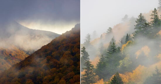 A split-screen view shows two misty mountain slopes covered in autumn foliage and evergreen trees.