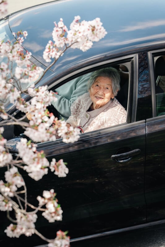 An elderly woman with gray hair smiles from the passenger seat of a black car, framed by blooming cherry blossom branches in the foreground.
