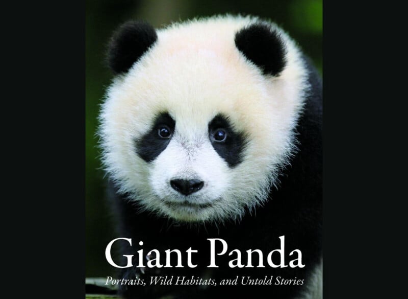 A close-up portrait of a giant panda against a dark background, with the text "Giant Panda: Portraits, Wild Habitats, and Untold Stories" below it.
