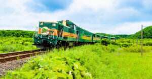 A green and yellow Norokko train travels along tracks through a lush, grassy landscape under a cloudy sky.