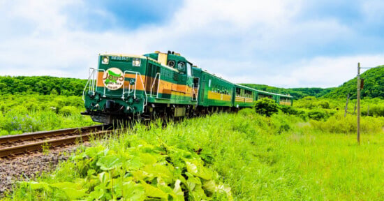 A green and yellow Norokko train travels along tracks through a lush, grassy landscape under a cloudy sky.