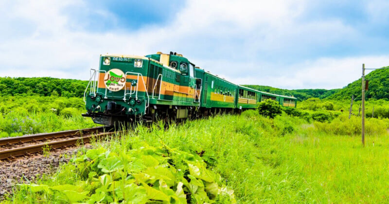 A green and yellow Norokko train travels along tracks through a lush, grassy landscape under a cloudy sky.