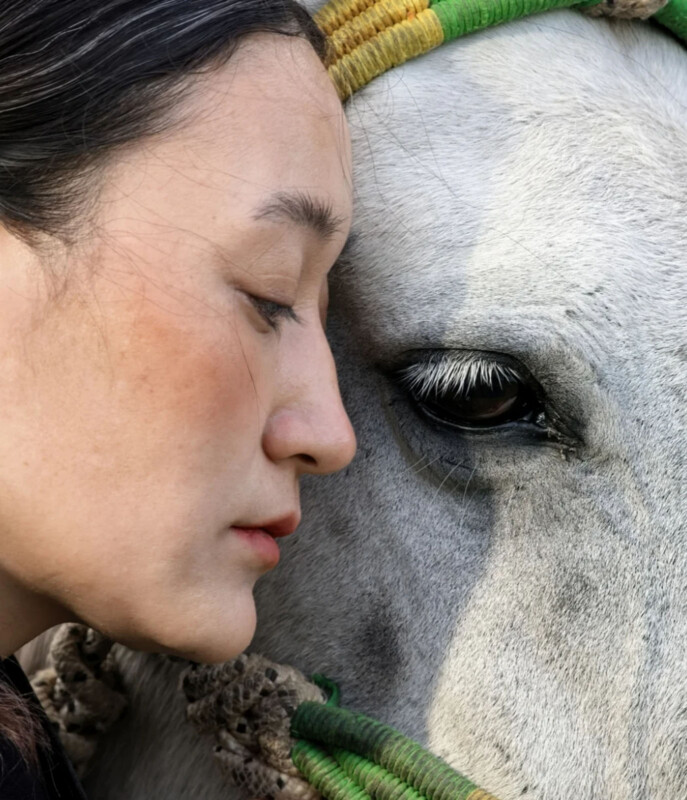 A close-up profile view of a woman with her cheek pressed against the face of a white horse wearing a green and yellow halter.